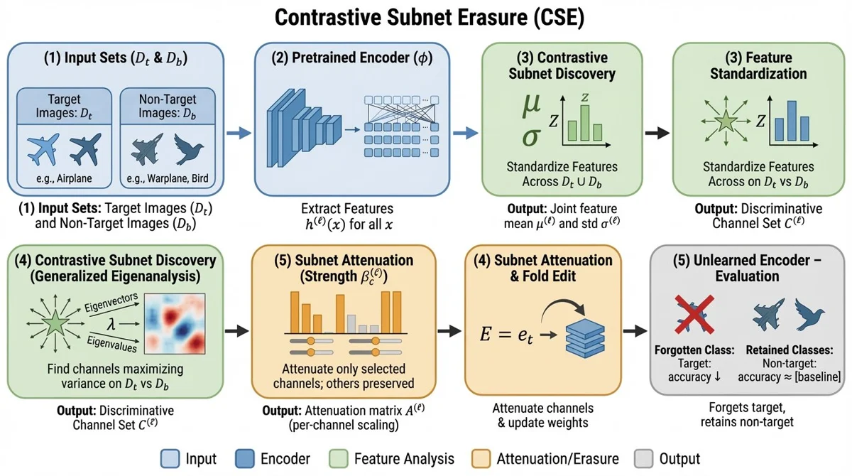 Selective Amnesia research illustration